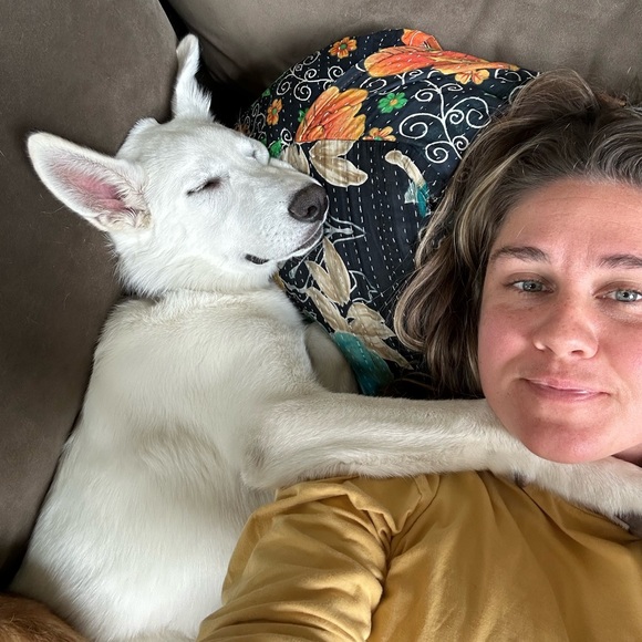 Meet your Posher, Clare - Picture 2 of 5